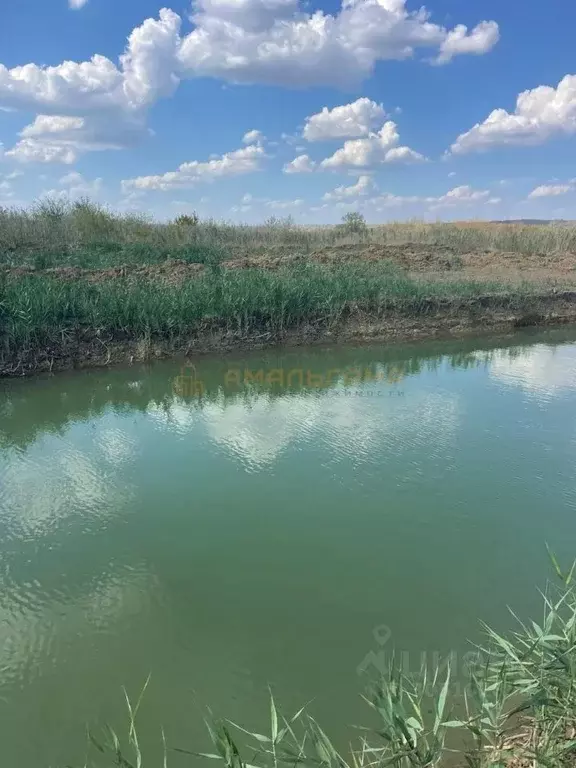 участок в ставропольский край, шпаковский муниципальный округ, пос. . - Фото 0