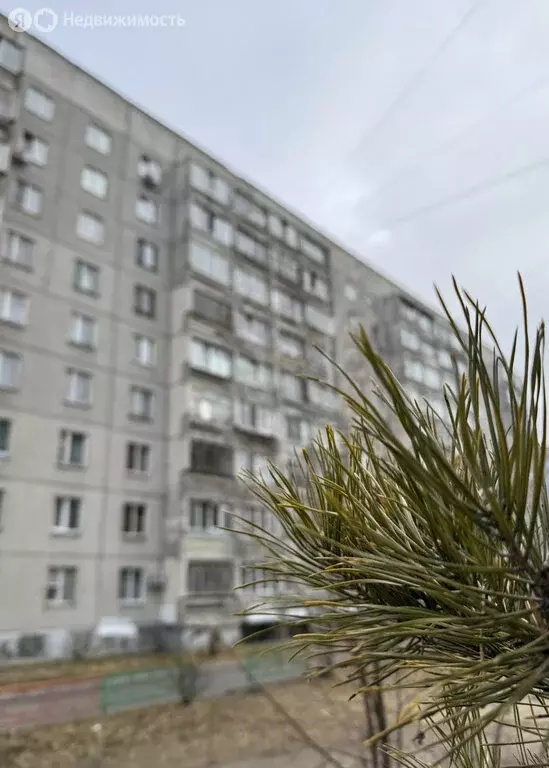 1-комнатная квартира: Курган, жилой район Заозёрный, 1-й микрорайон, ... - Фото 1