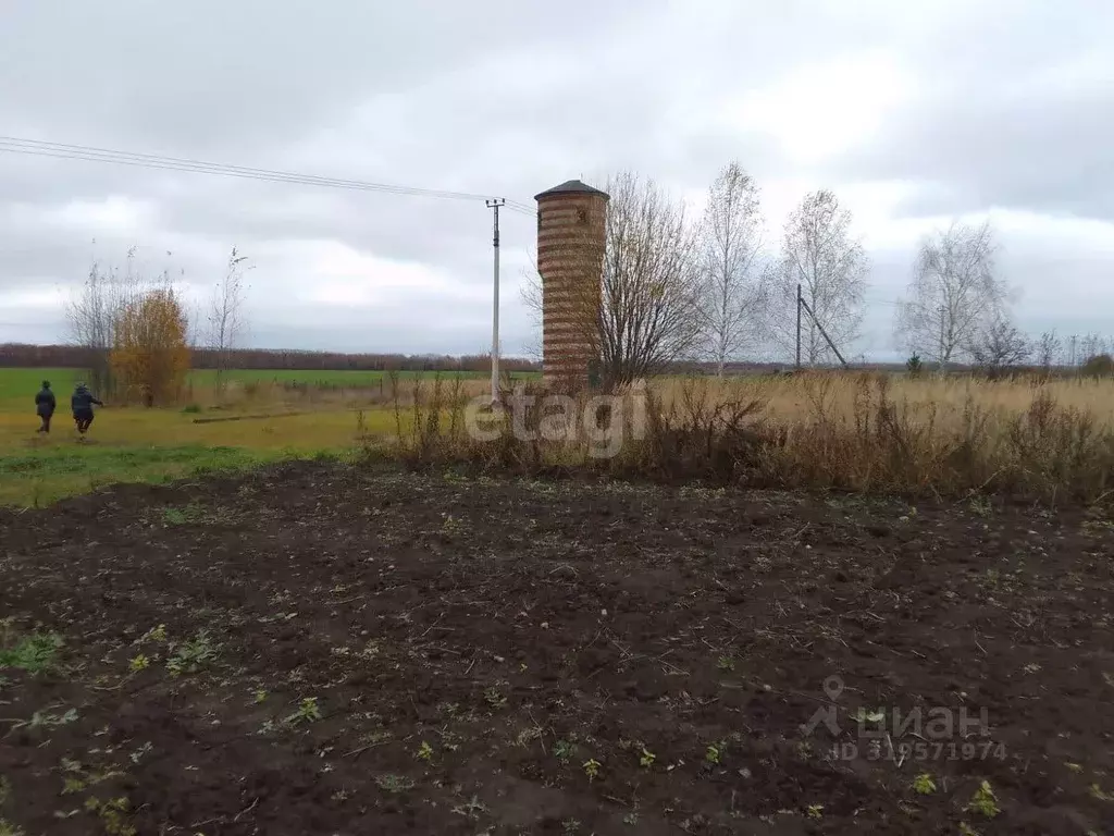Участок в Владимирская область, Муром с. Ковардицы, ул. Вишневая, 41 ... - Фото 1