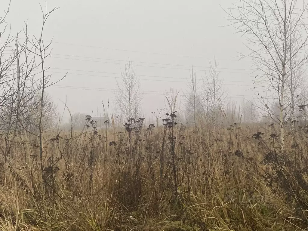 Участок в Московская область, Луховицы Почтовая ул. (13.21 сот.) - Фото 2