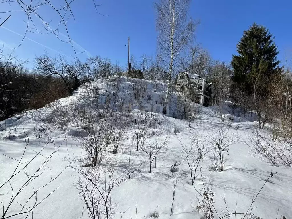 Участок в Нижегородская область, Нижний Новгород Родник садоводческое ... - Фото 1