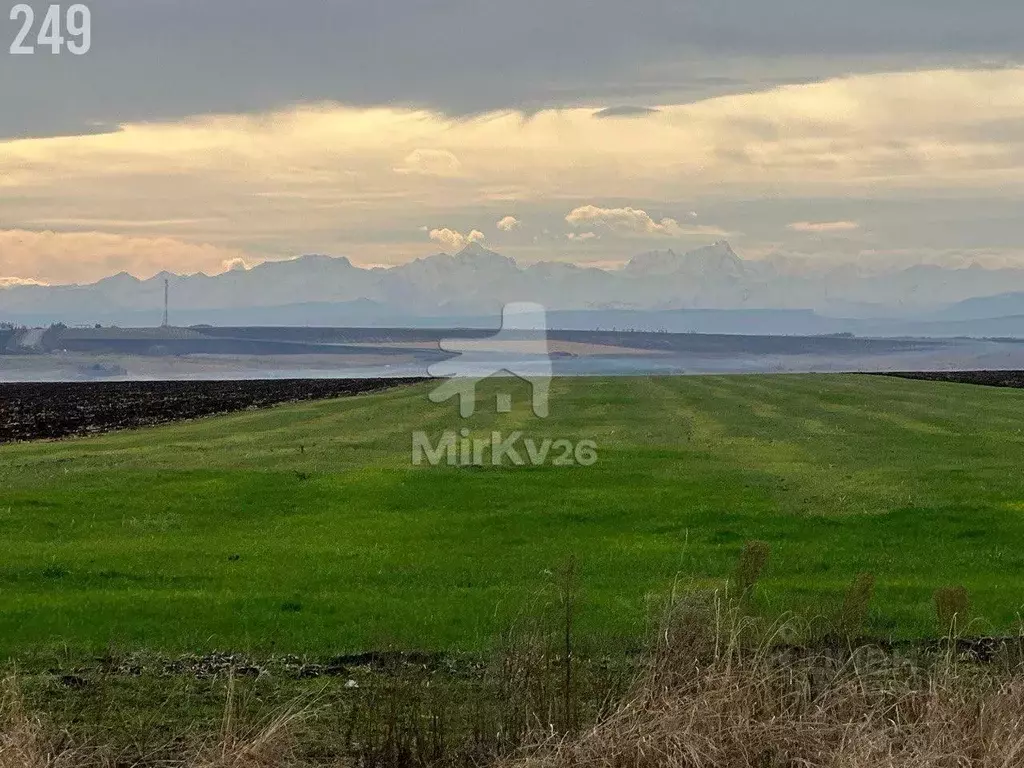 Участок в Ставропольский край, Предгорный муниципальный округ, пос. ... - Фото 2