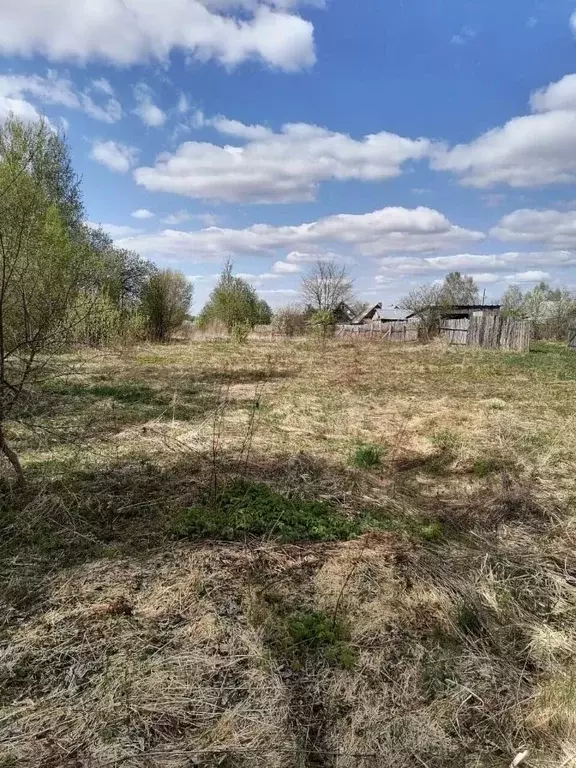 Участок в Владимирская область, Судогодский район, Мошокское ... - Фото 0