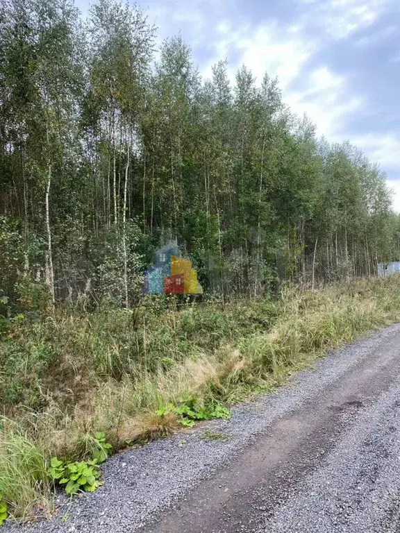 Участок 12 сот. (СНТ, ДНП) - Фото 1
