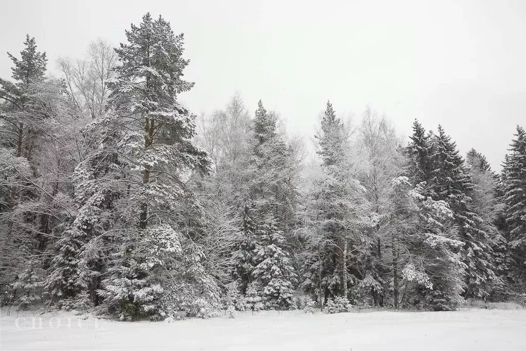 Участок в Московская область, Одинцовский городской округ, пос. ... - Фото 2