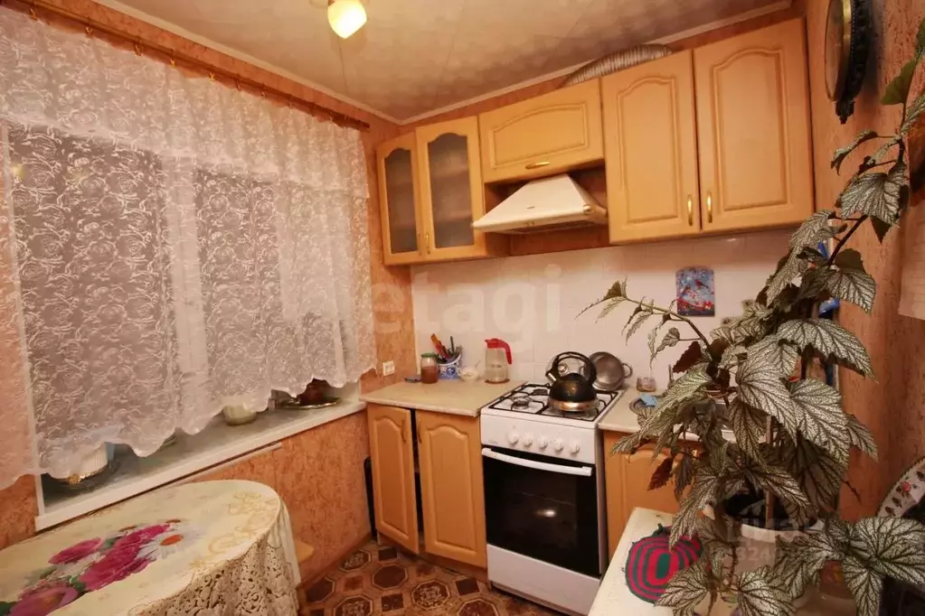 3-к кв. Вологодская область, Шексна рп, Шексна Северная мкр ул. ... - Фото 1