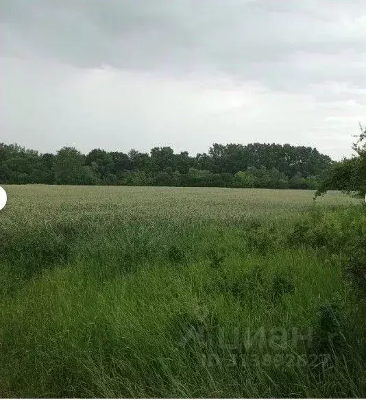 Участок в Краснодарский край, Северское с/пос, Бончковский хут. ул. ... - Фото 0