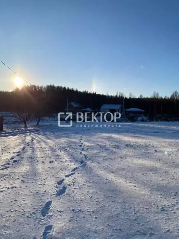 Участок в Костромская область, Кострома Ручеек СНТ, 6А (8.0 сот.) - Фото 1