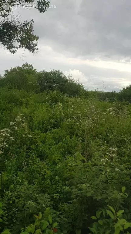 Участок в Батайск, ДНТ Весна, улица 20-й Проезд, 1232 (6.3 м) - Фото 2