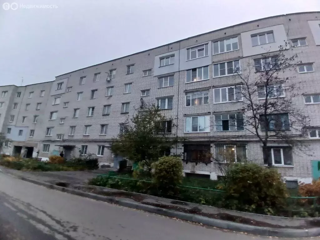 1-комнатная квартира: Кстово, 3-й микрорайон, 11 (32.4 м) - Фото 1