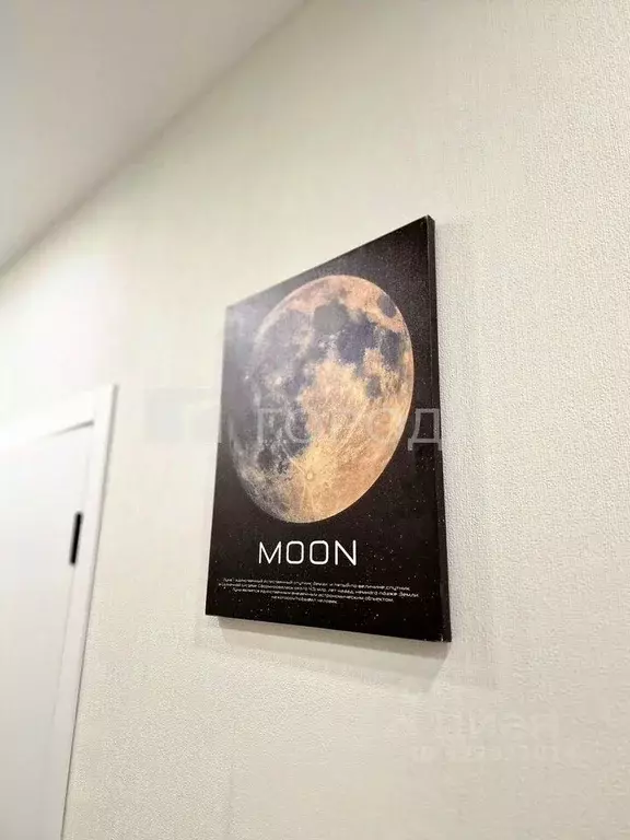 2-к кв. Новосибирская область, Новосибирск ул. Ляпидевского, 1 (37.0 ... - Фото 2