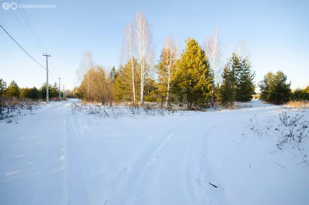 Участок в Заводоуковск, СНТ Колос (14.6 м) - Фото 0