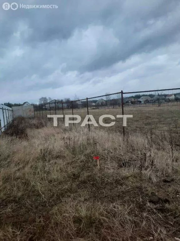 Участок в Воронежская область, село Новая Усмань (765 м) - Фото 2