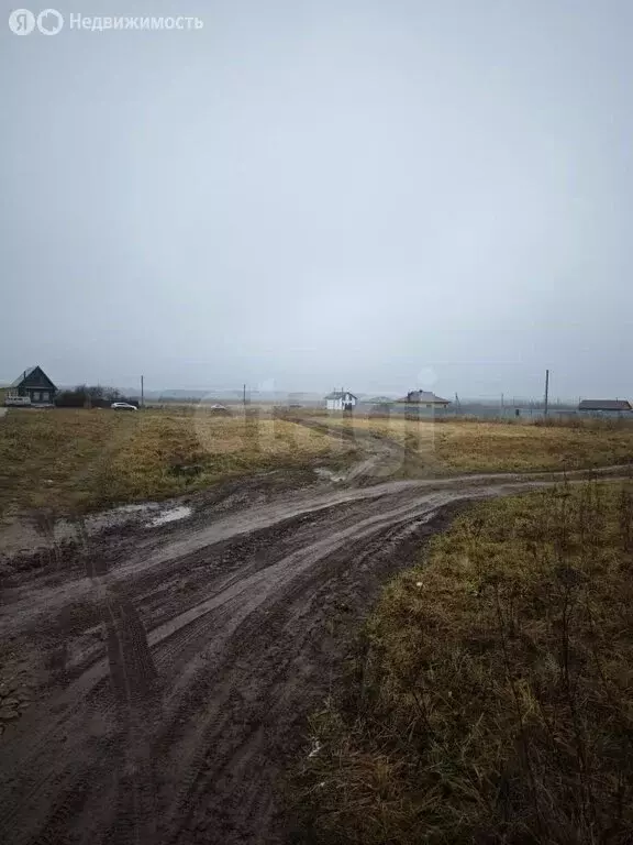 Участок в Медведевский район, Азяковское сельское поселение, деревня ... - Фото 2