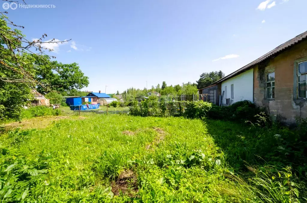 1-комнатная квартира: посёлок городского типа Новозавидовский, ... - Фото 0