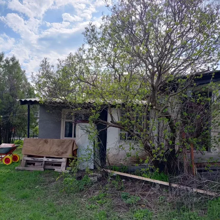 2-к кв. Воронежская область, Богучар ул. Володарского, 19 (29.4 м) - Фото 2