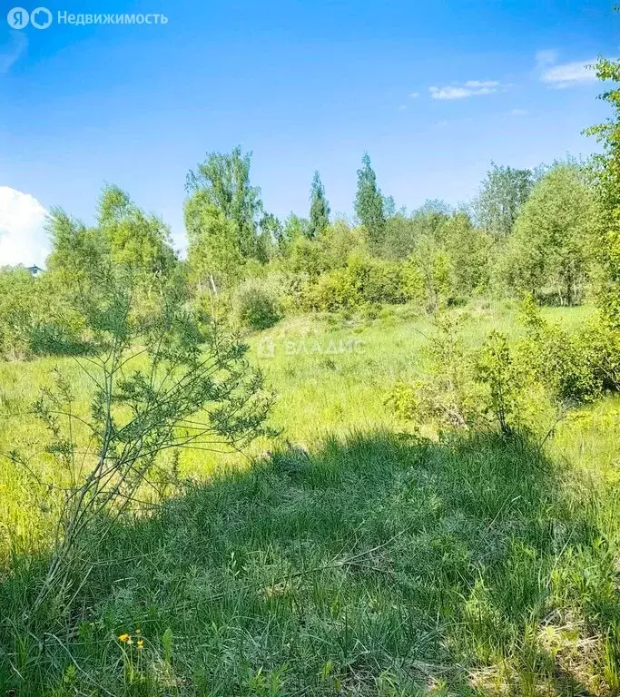 Участок в деревня Назарово, Заречная улица, 86 (17.26 м) - Фото 2