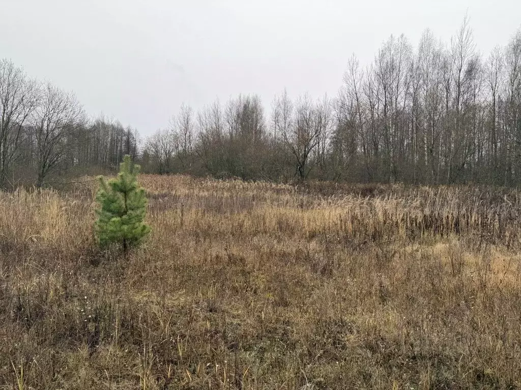 Участок в Московская область, Орехово-Зуевский городской округ, д. ... - Фото 1
