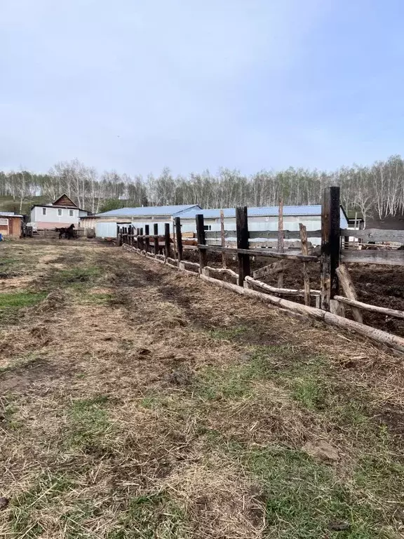Участок в Иркутская область, Иркутский муниципальный округ, д. ... - Фото 1