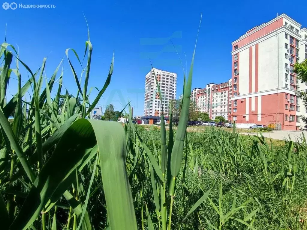 Квартира-студия: Симферополь, Севастопольская улица, 43Ж (36.1 м) - Фото 1