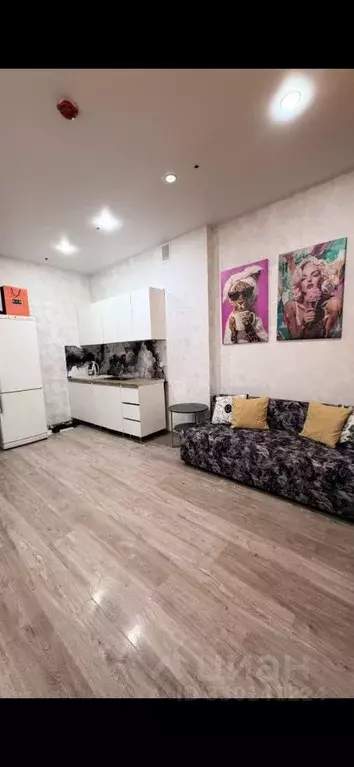 Студия Пермский край, Пермь ул. Куйбышева, 109А (27.7 м) - Фото 1