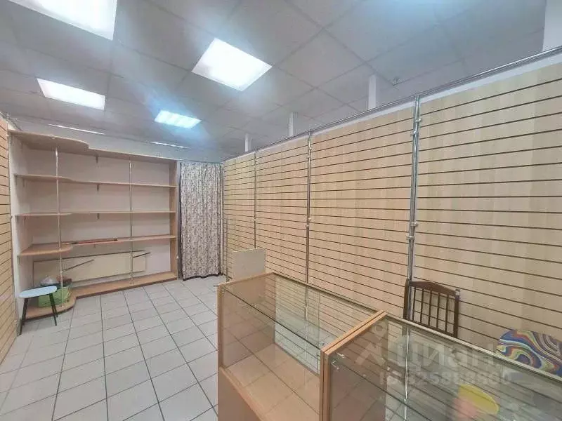 Торговая площадь в Самарская область, Тольятти Ленинский просп., 14А ... - Фото 2