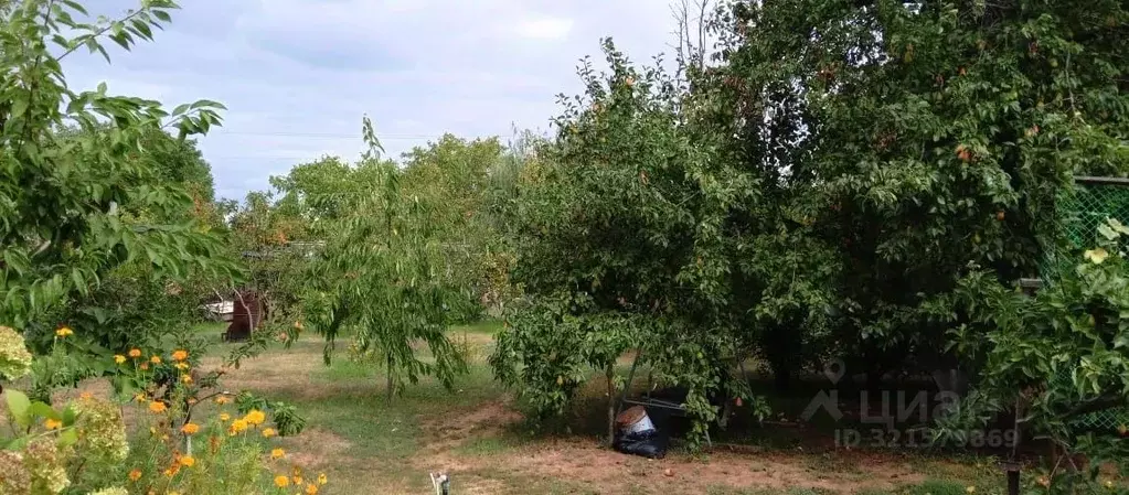 Участок в Волгоградская область, Волжский Лилия СНТ, ул. Ореховая, 19 ... - Фото 0
