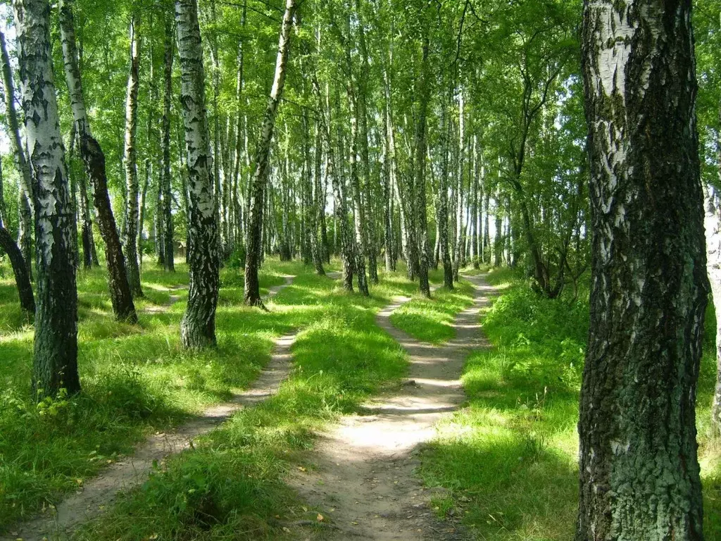 Участок в Калининградская область, Калининград Якорная ул. (6.0 сот.) - Фото 1