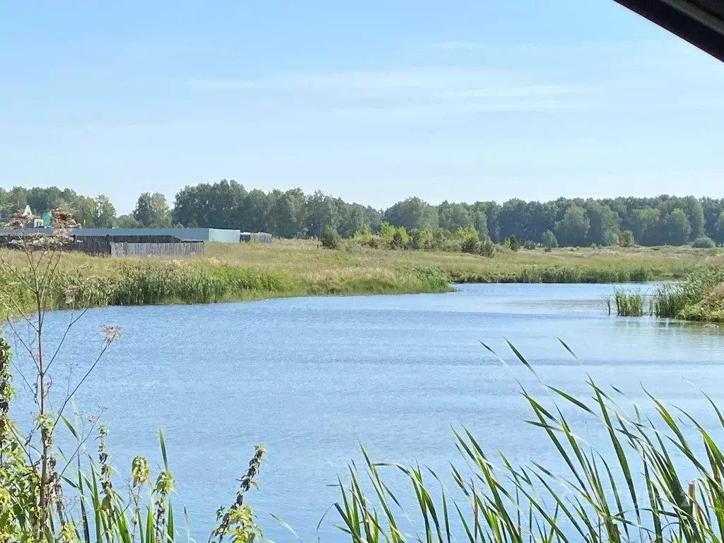 Белоярский ул Чапаева. Посёлок городского типа Белоярский. Посёлок Белоярский Свердловской области. Отдых на берегу в пгт Белоярский.