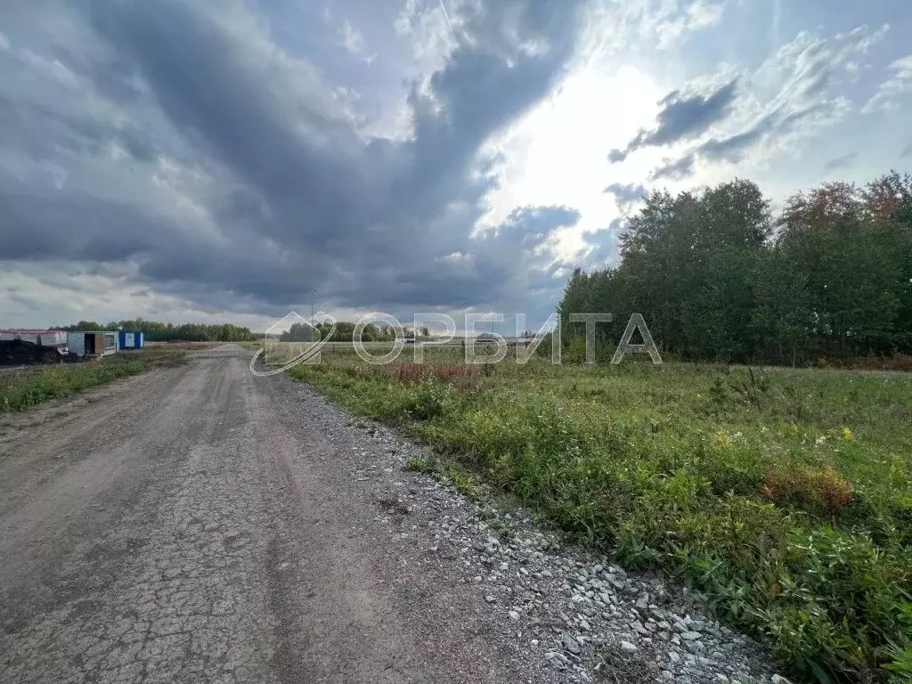 Участок в Тюменская область, Тюменский район, Новокаменский кп ул. ... - Фото 0
