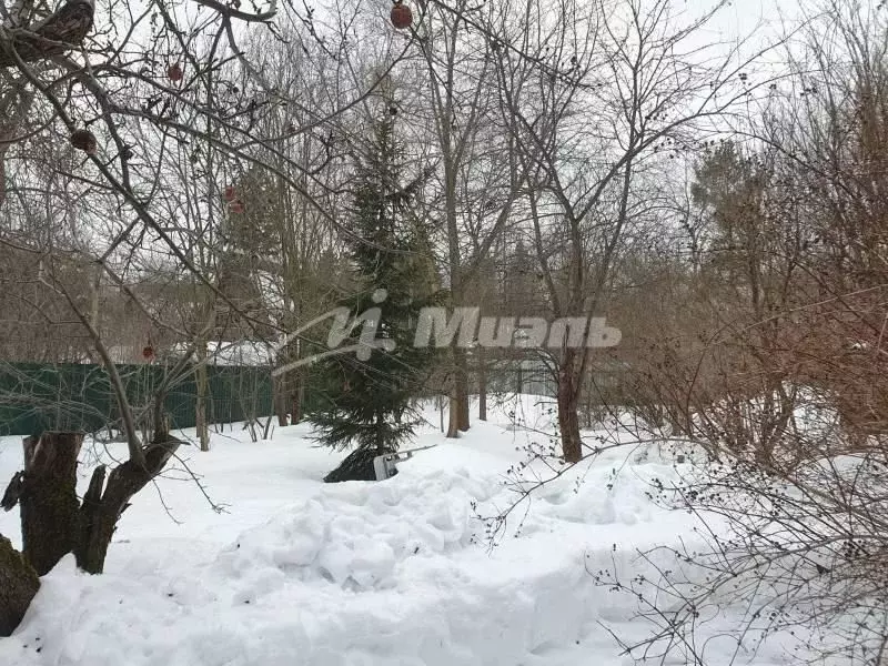 Участок в Московская область, Щелково городской округ, Загорянский дп ... - Фото 0