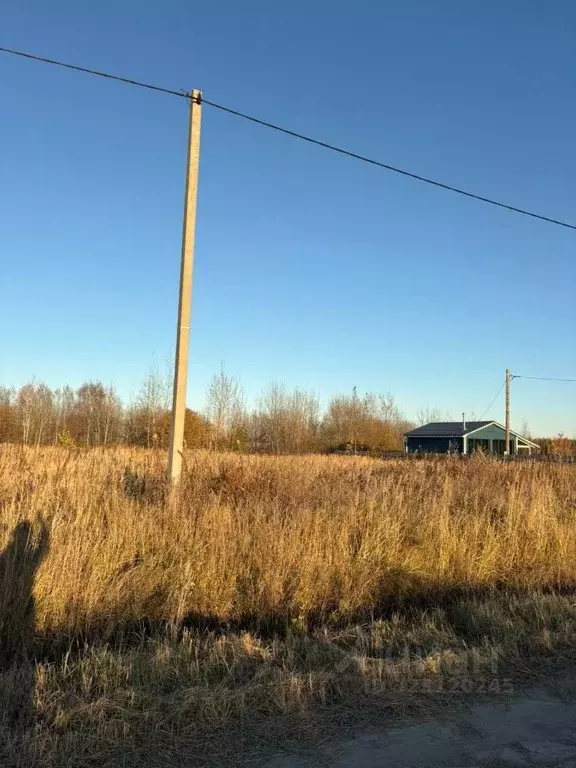 Участок в Тюменская область, Тюменский муниципальный округ, с. Борки ... - Фото 1