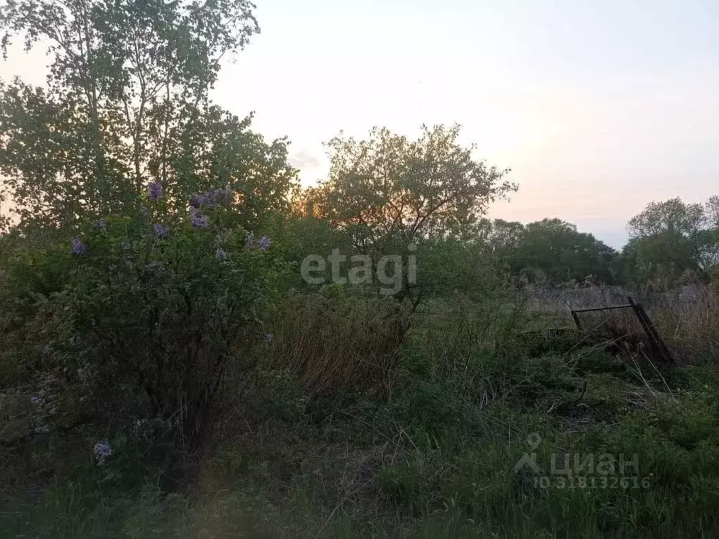 Участок в Хабаровский край, Хабаровский район, с. Мирное  (13.0 сот.) - Фото 0