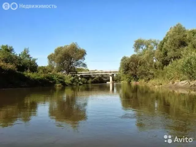 Участок в Смоленский район, Верх-Обский сельсовет, село Иконниково, ... - Фото 1