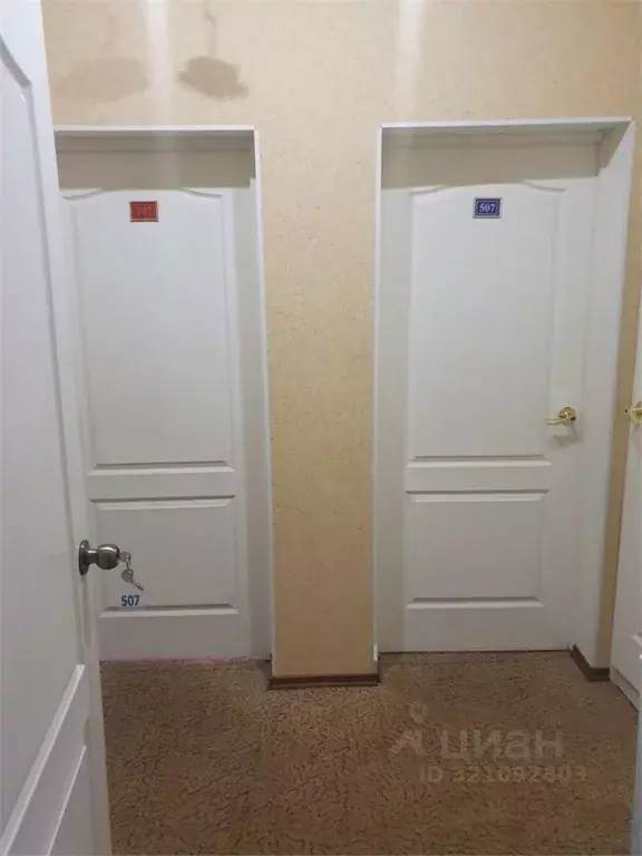 Комната Ульяновская область, Димитровград ул. Куйбышева, 335 (36.0 м) - Фото 2