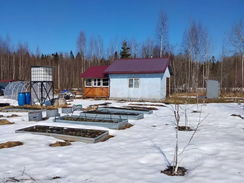Участок в Вологодская область, У Медведя садоводческое товарищество  ... - Фото 1