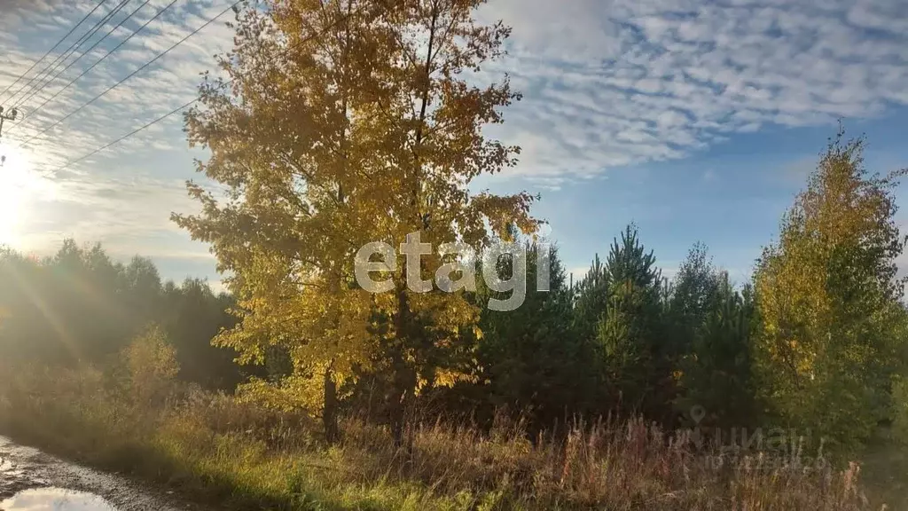 Участок в Свердловская область, Екатеринбург муниципальное ... - Фото 0