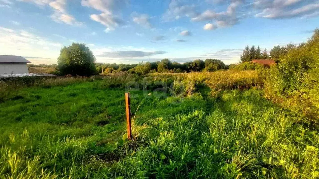 Участок в Вологодская область, д. Княгинино (Подлесный сельсовет)  ... - Фото 1