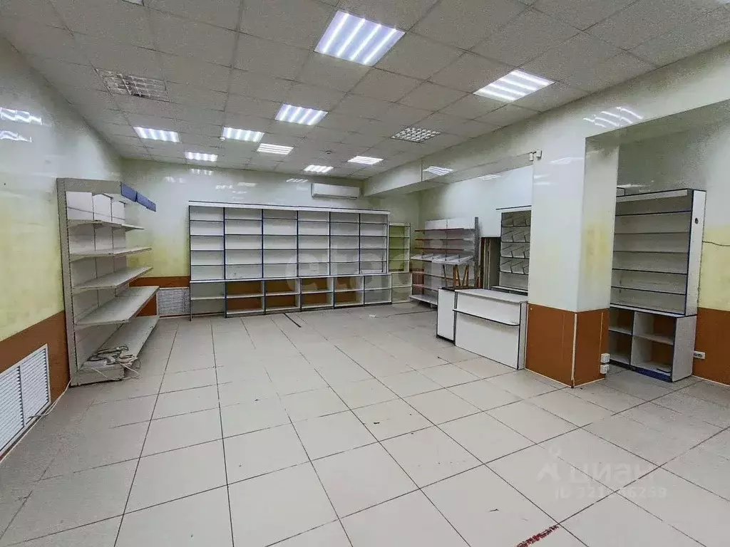 Помещение свободного назначения в Владимирская область, Владимир ... - Фото 1