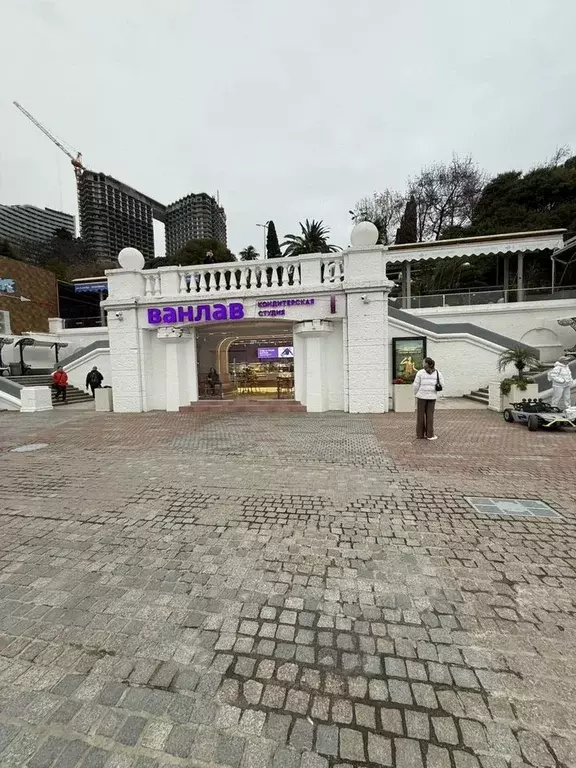 Торговая площадь в Краснодарский край, Сочи Центральный мкр, ул. ... - Фото 1