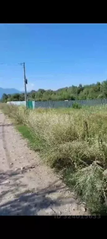 Участок в Алтай, Усть-Коксинский район, с. Чендек  (10.0 сот.) - Фото 0