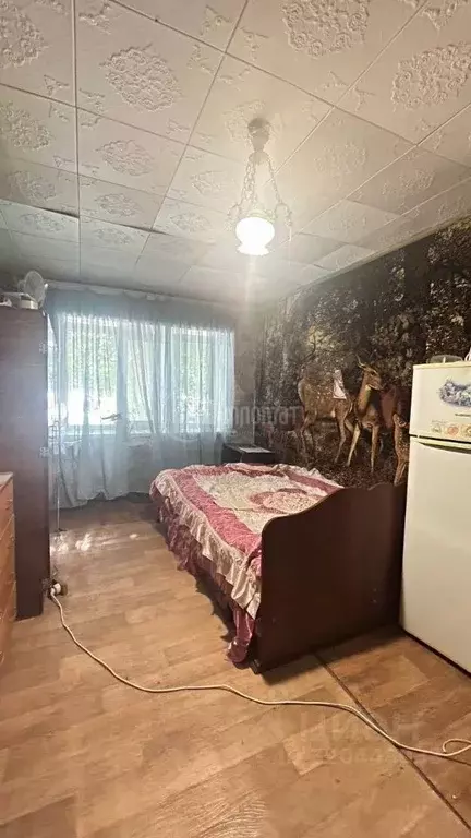 Комната Курганская область, Курган ул. Куйбышева, 140 (17.2 м) - Фото 0