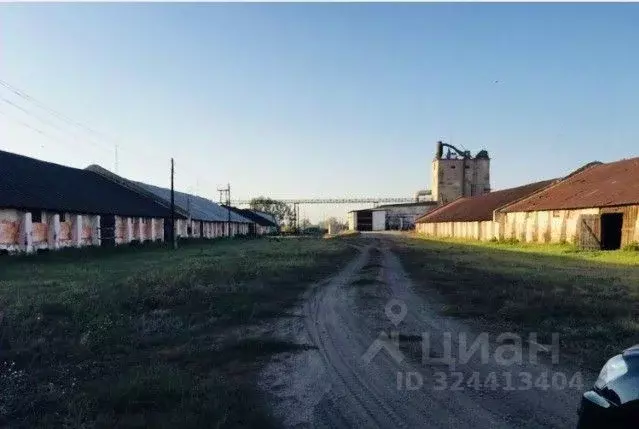 Производственное помещение в Алтайский край, с. Родино ул. Ленина, 8 ... - Фото 1