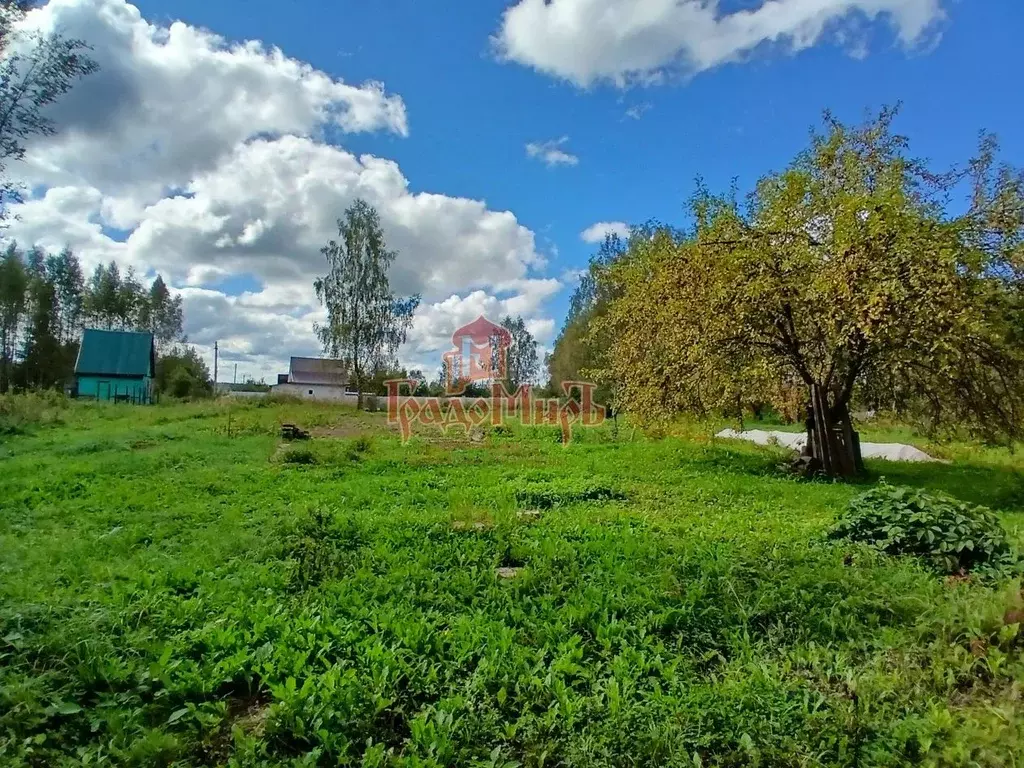 Участок в Владимирская область, Александров Искож-1 СНТ, 6 (12.0 сот.) - Фото 1