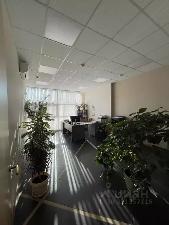 Офис в Челябинская область, Челябинск ул. 250-летия Челябинска, 69 ... - Фото 2