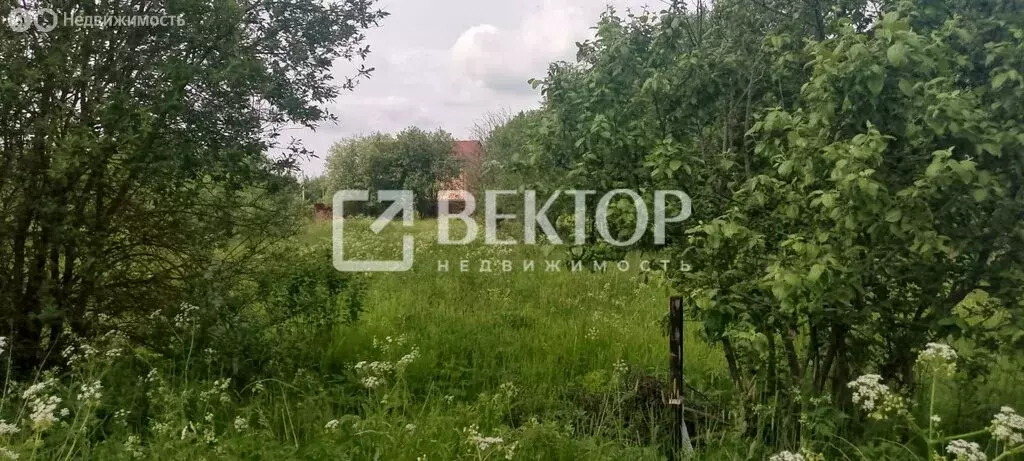 Участок в Костромской район, Кузьмищенское сельское поселение, деревня ... - Фото 1