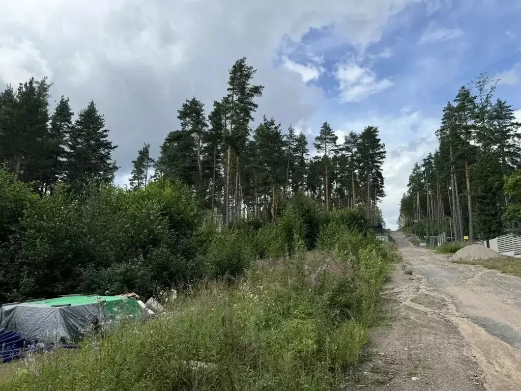 Участок в Ленинградская область, Выборгский район, Полянское с/пос, ... - Фото 2