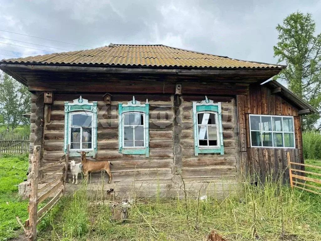 Дом в Новосибирская область, Маслянинский район, д. Барсуково ул. ... - Фото 2