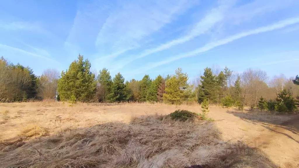 Участок в Владимирская область, Суздальский район, Селецкое ... - Фото 0