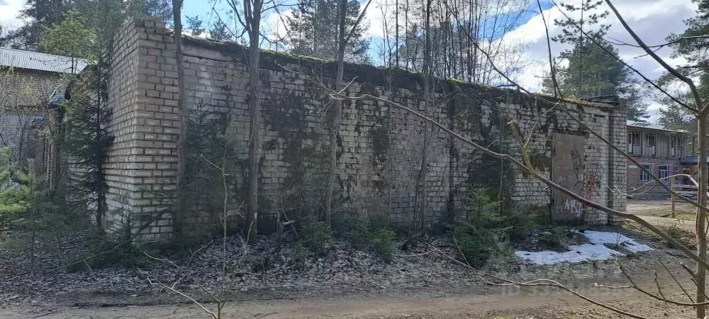 Помещение свободного назначения в Вологодская область, Кадуйский ... - Фото 2